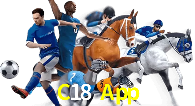 C18 App